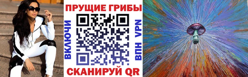 Купить  Пугачёв  Псилоцибиновые грибы ЛСД 
